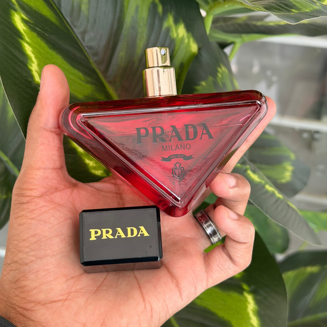 Prada Paradoxe Radical Essence Eau de Perfum