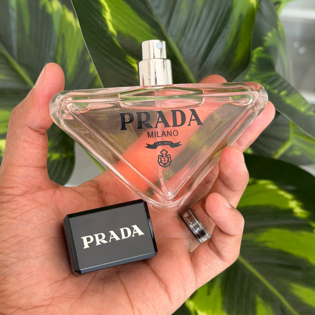 PRADA Paradoxe 90ml EDP for Women
