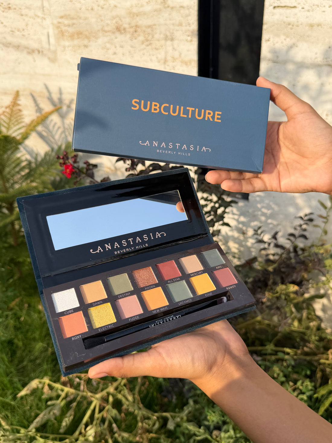 Anastasia Beverly Hills eye palettes